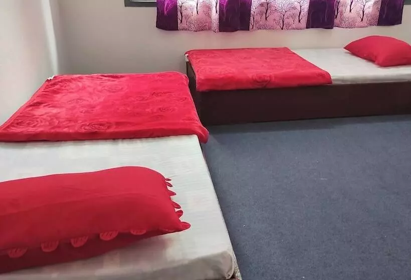 هاستل Budget Backpackers