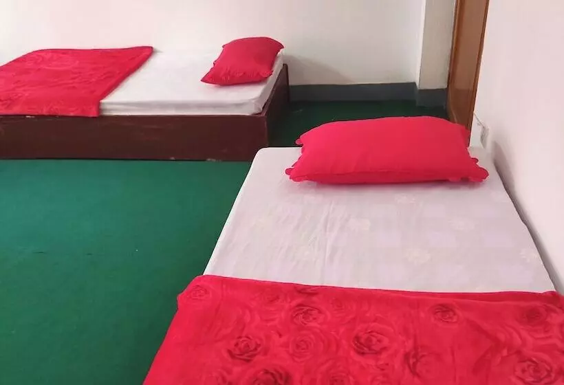 هاستل Budget Backpackers