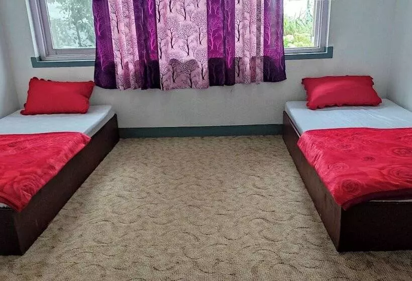 هاستل Budget Backpackers