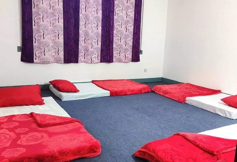 هاستل Budget Backpackers