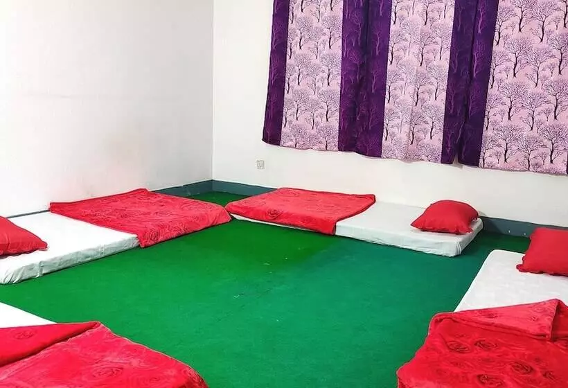 هاستل Budget Backpackers