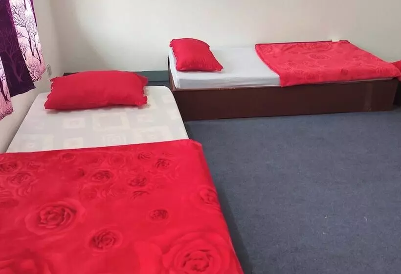 هاستل Budget Backpackers