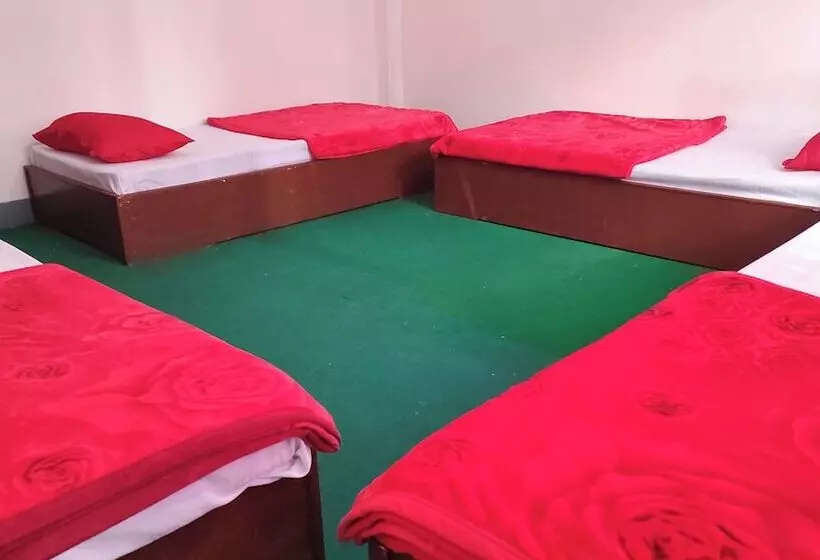 هاستل Budget Backpackers