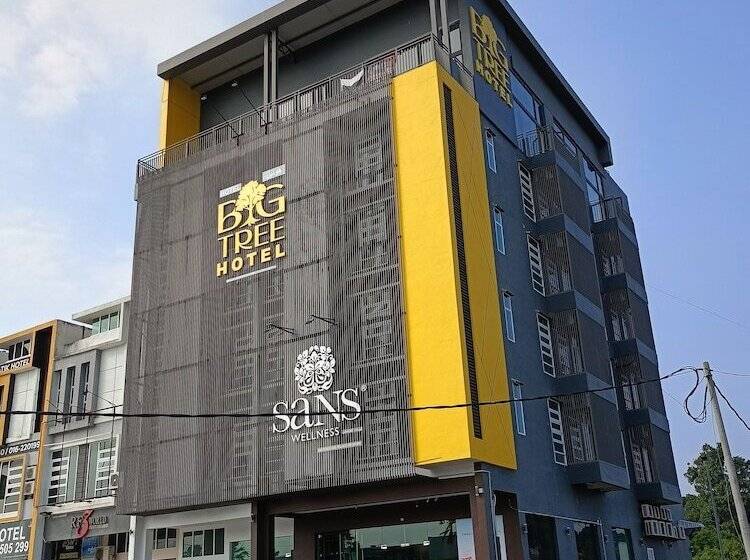 Szálloda Big Tree