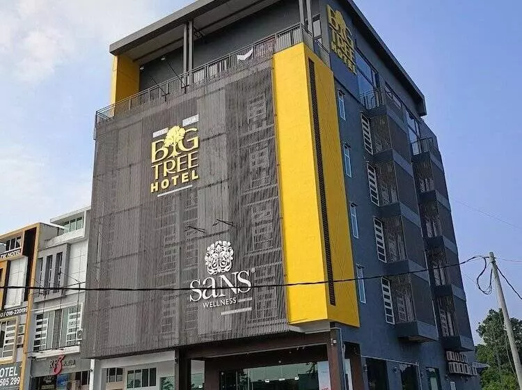 ホテル Big Tree