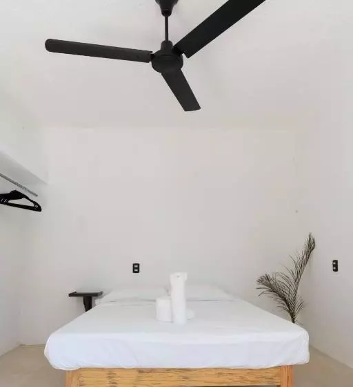 هاستل Casa Del Alma
