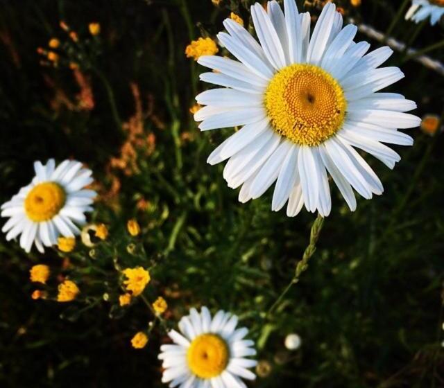 Barry S Bay Golf Resort