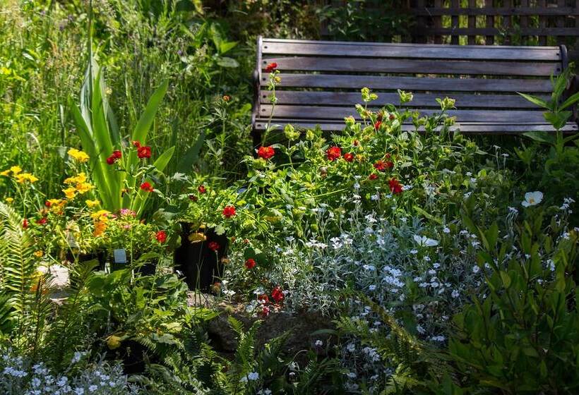 Bed & Breakfast Armand Heights