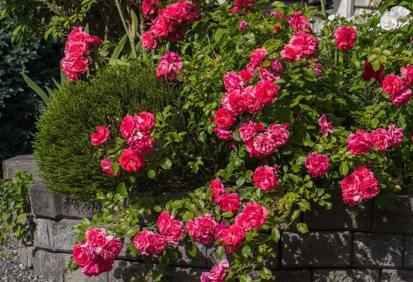 Bed & Breakfast Armand Heights