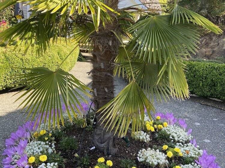 צימר Belle Maison Auprès De La Mer