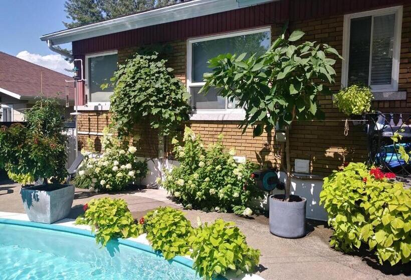 ベッドアンドブレックファースト Gîte Chez Baza