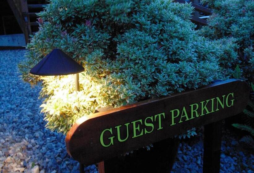 تختخواب و صبحانه Ocean Mist Guesthouse