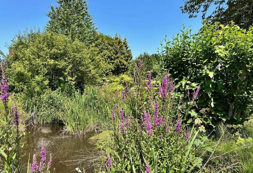 בית מלון כפרי De Lange Akker