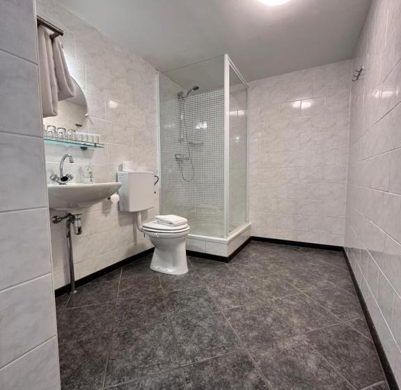 בית מלון כפרי De Lange Akker