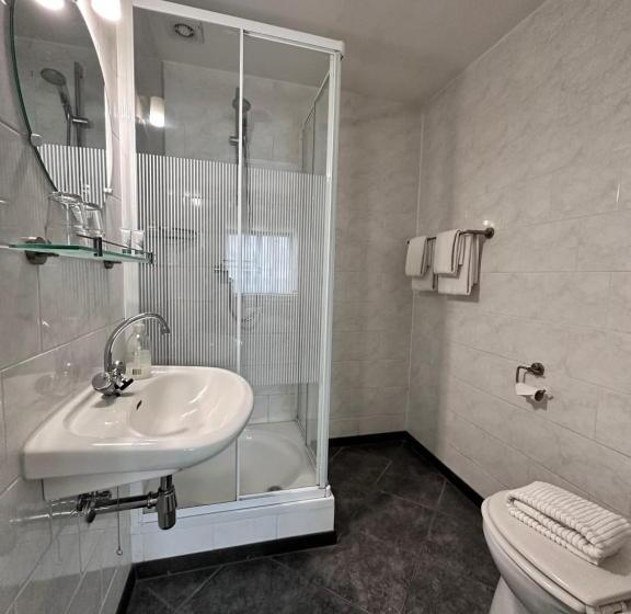 בית מלון כפרי De Lange Akker