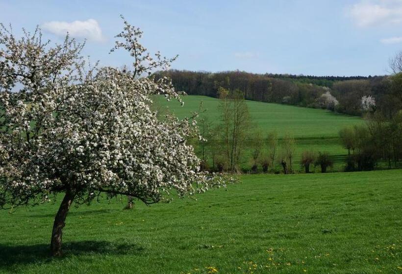 בית מלון כפרי De Lange Akker