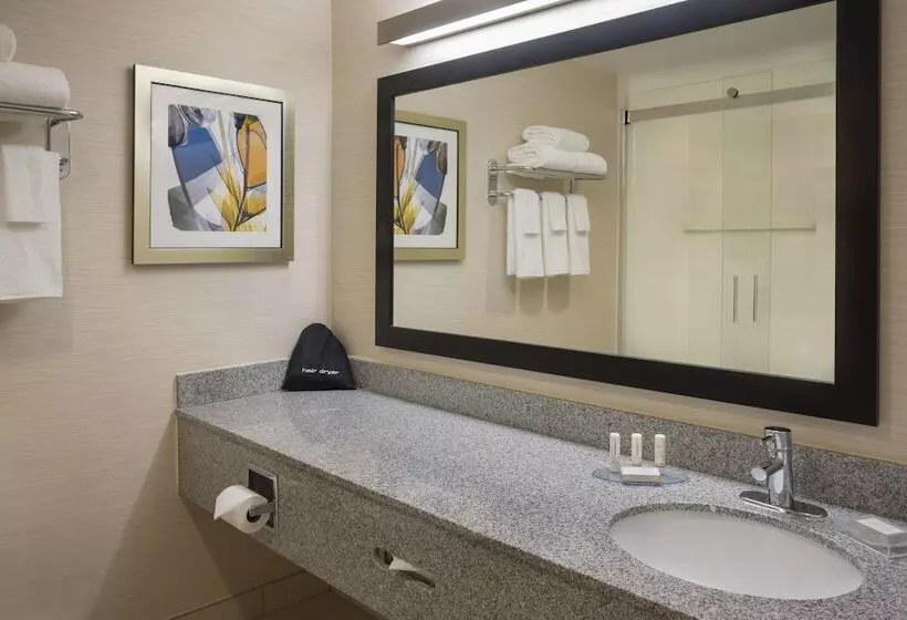ホテル Fairfield Inn & Suites By Marriott Ottawa Kanata