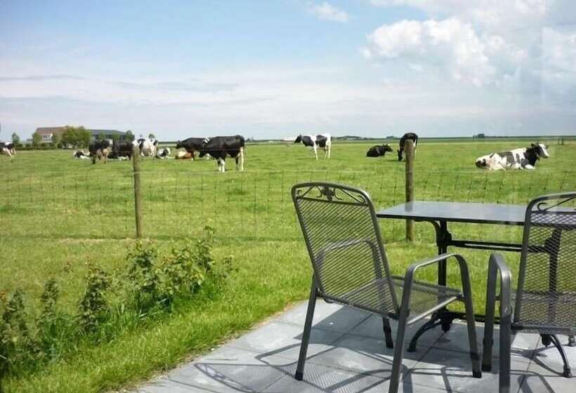 ホテル Huisjes Andijk