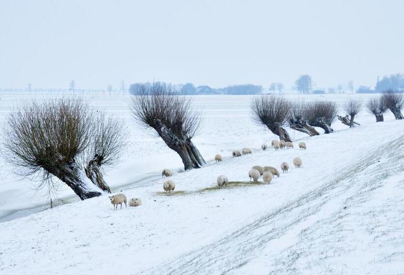 ホテル Huisjes Andijk