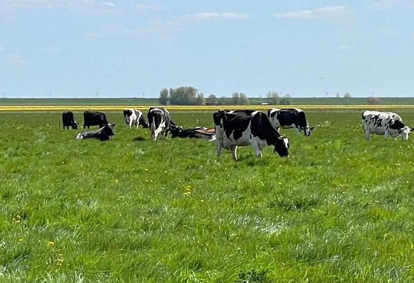 ホテル Huisjes Andijk