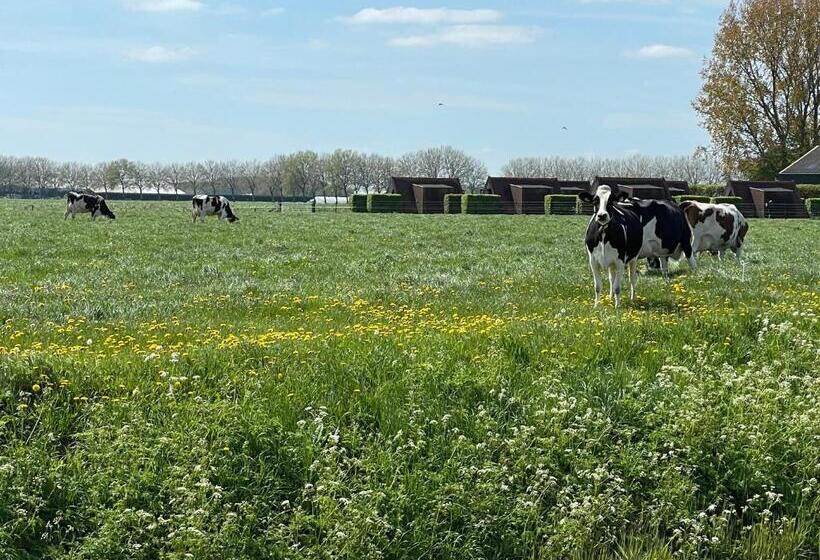 ホテル Huisjes Andijk