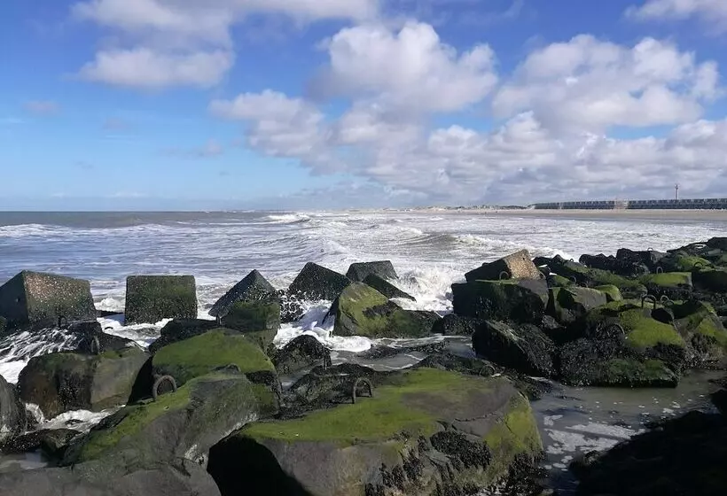 ホテル Noordzee