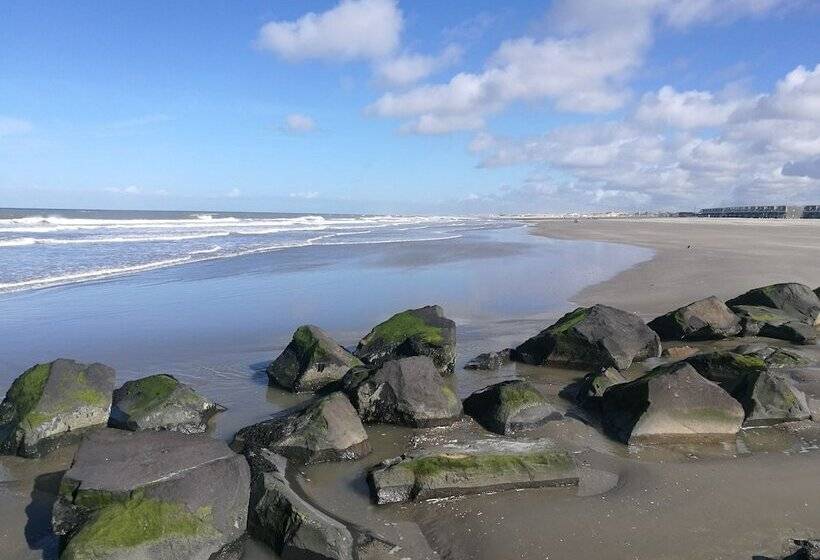 ホテル Noordzee
