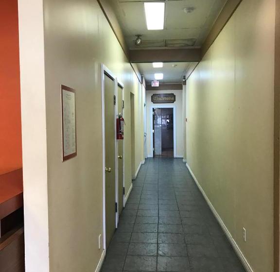 בית מלון כפרי Oasis