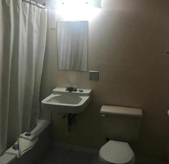 בית מלון כפרי Oasis