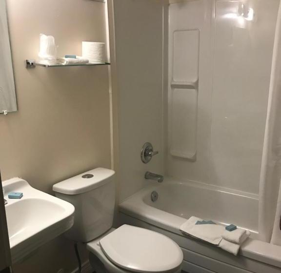 בית מלון כפרי Oasis