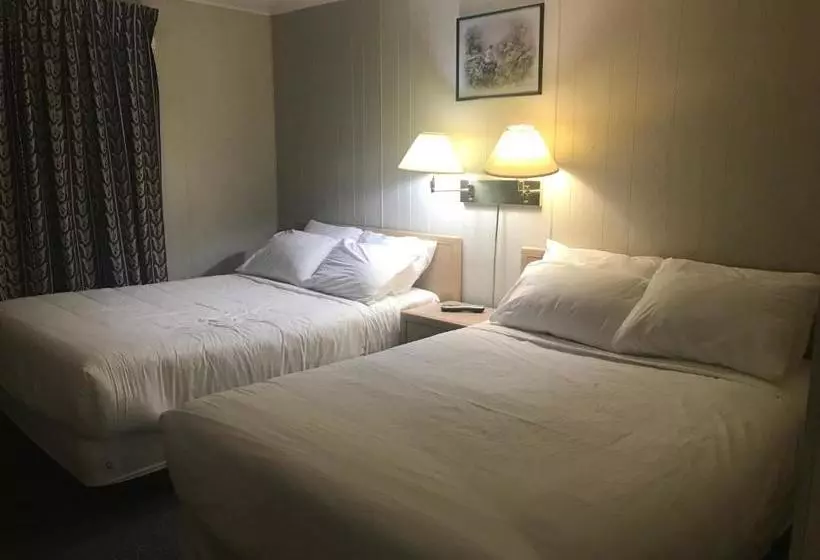 Hotel Oasis