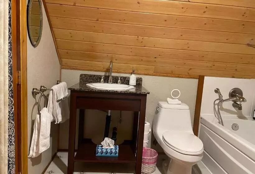 Luna Bed & Breakfast