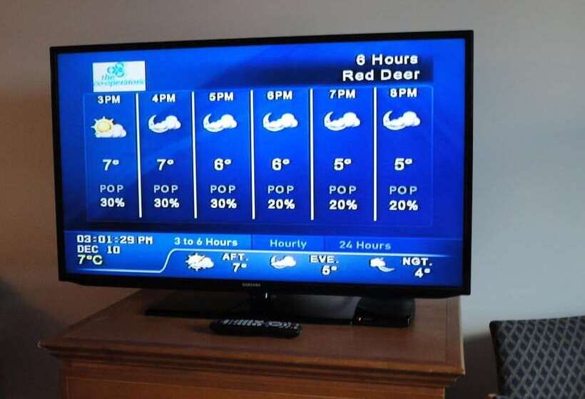 מוטל South Hill Motor Inn