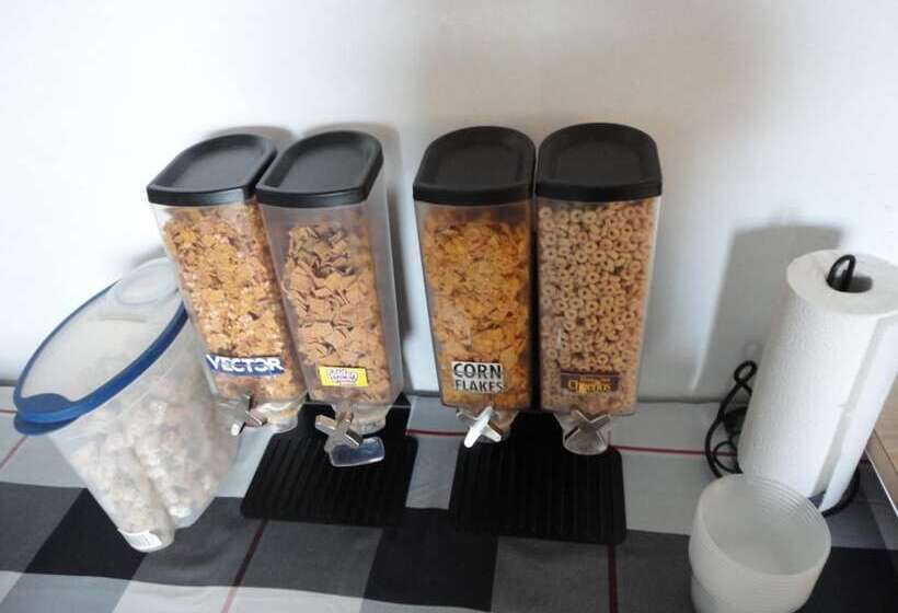 מוטל South Hill Motor Inn