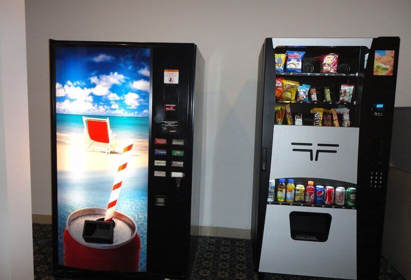 מוטל South Hill Motor Inn