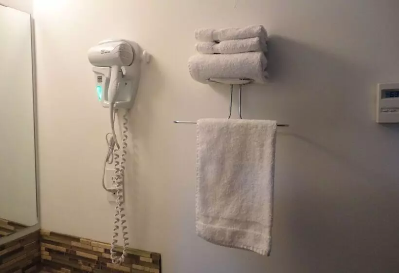 モーテル South Hill Motor Inn