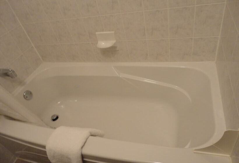 מוטל South Hill Motor Inn