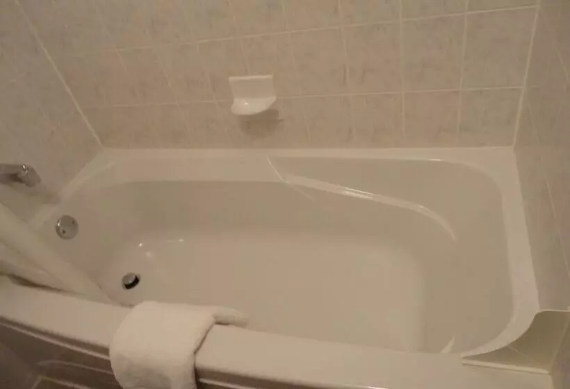 モーテル South Hill Motor Inn