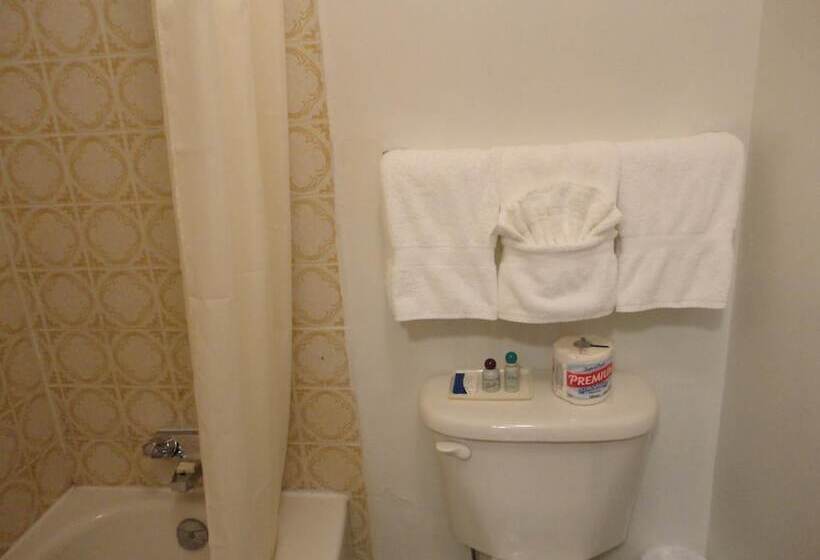 מוטל South Hill Motor Inn