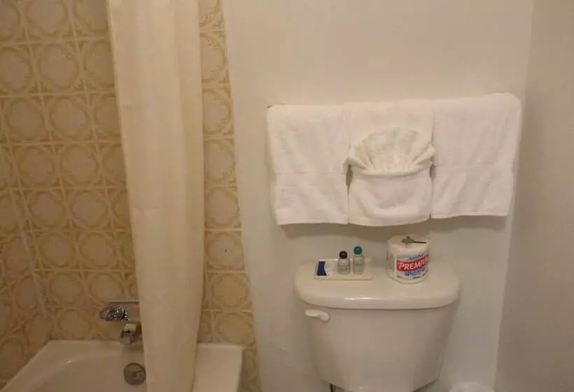 モーテル South Hill Motor Inn
