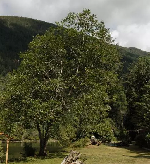 Ruby Lake Resort