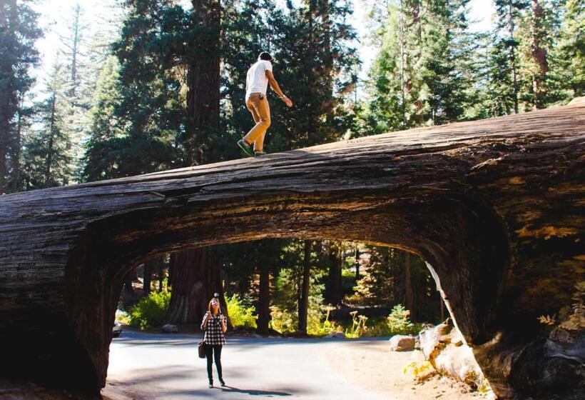 Hotel Autocamp Sequoia