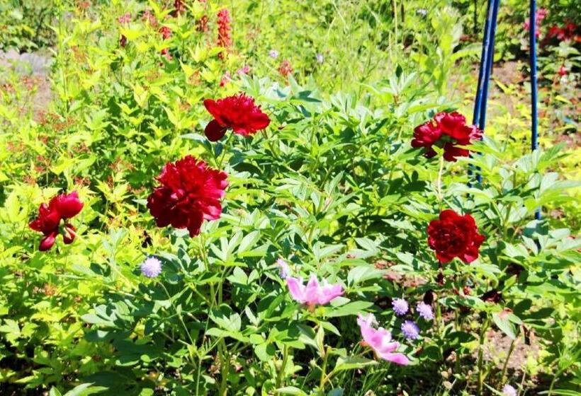 Отель Ryobou Hanaemi