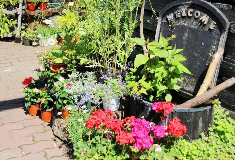 Отель Ryobou Hanaemi