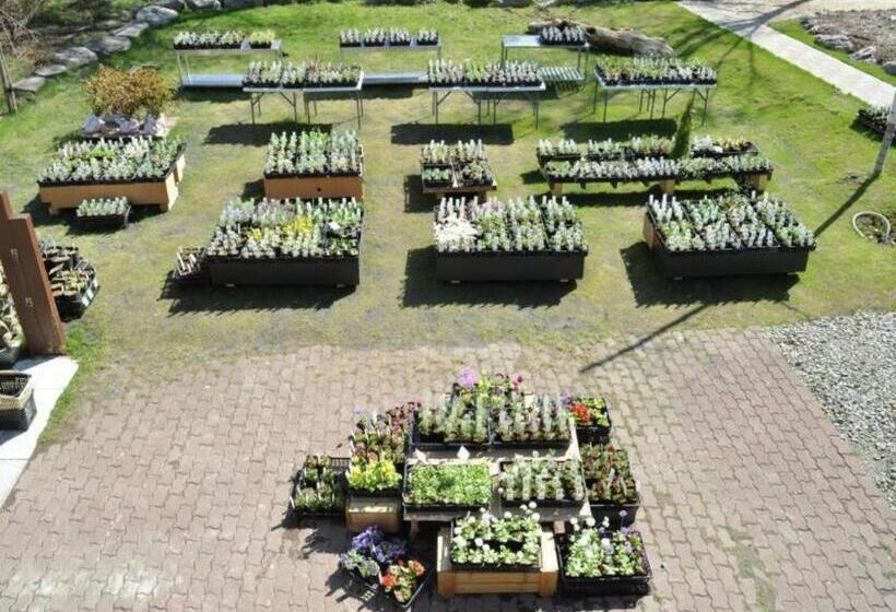 Отель Ryobou Hanaemi