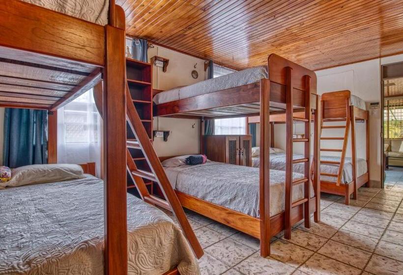 민박 Arenal Chill Inn