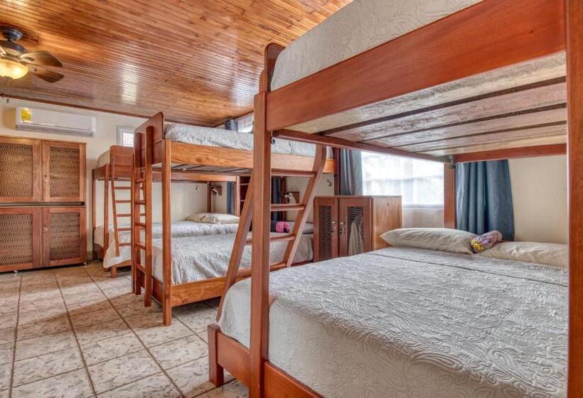 민박 Arenal Chill Inn