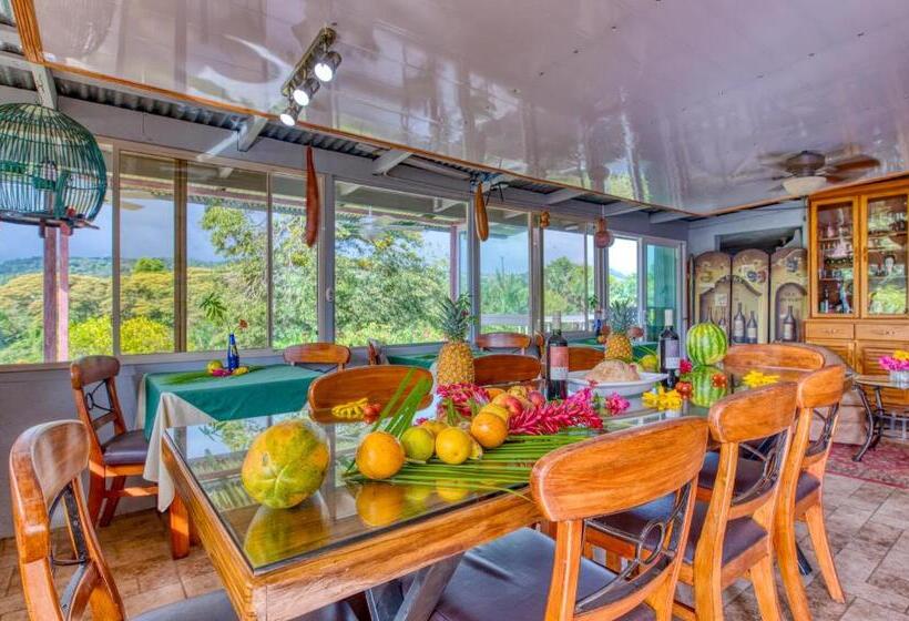 민박 Arenal Chill Inn