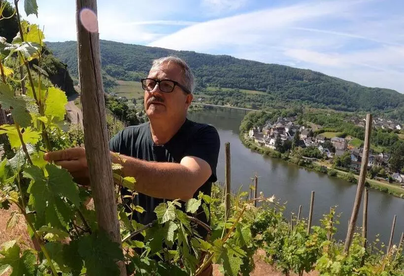 ベッドアンドブレックファースト Weingut Und Pension Markus Kochems