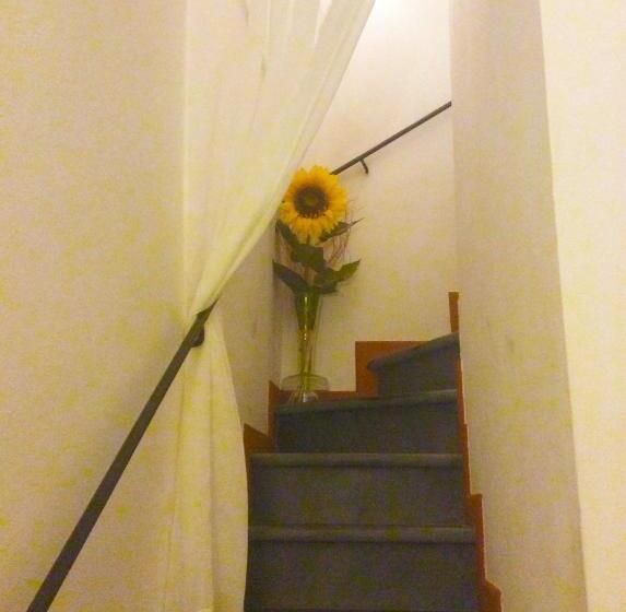 پانسیون Belvedere 10